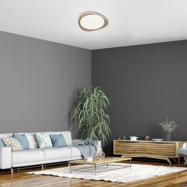 Rabalux 2427 - LED mennyezeti lámpa TAMINO LED/24W/230V