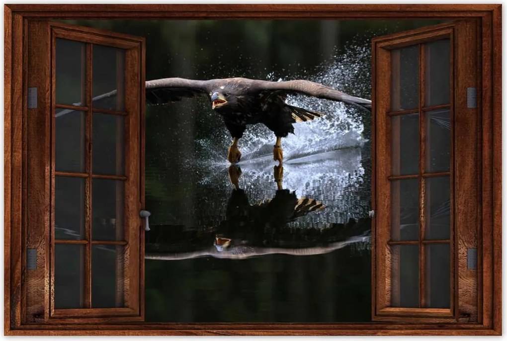 Poszterek 90x60 Madarak