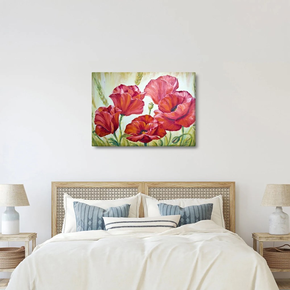 Kép - Pipacsvirágok (70x50 cm)