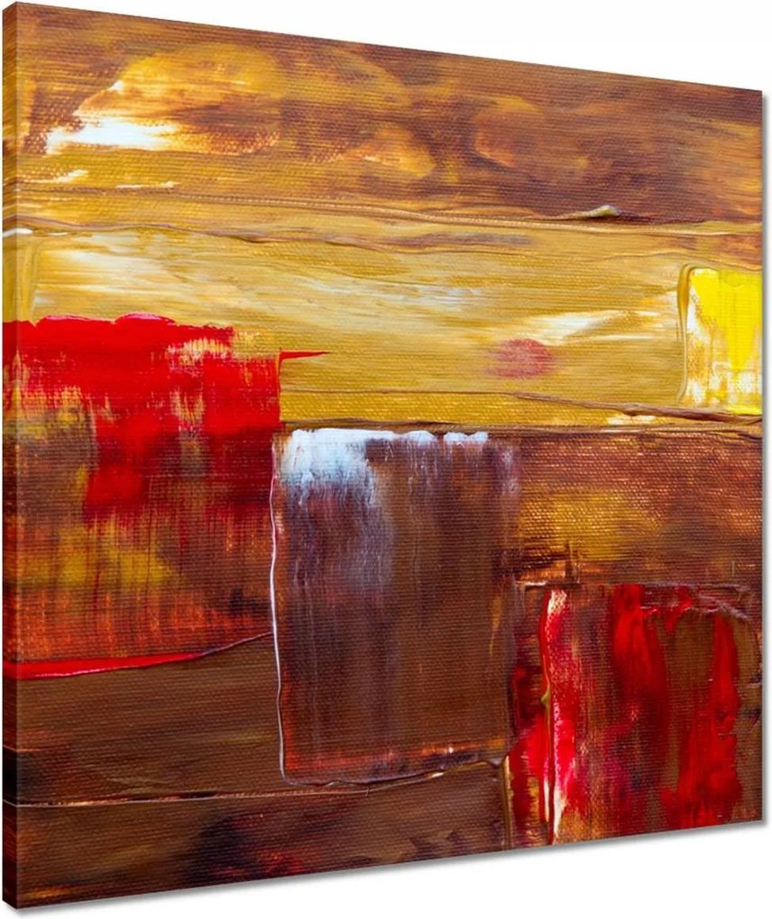 Vászonkép 50x50 Absztrakt Gyík