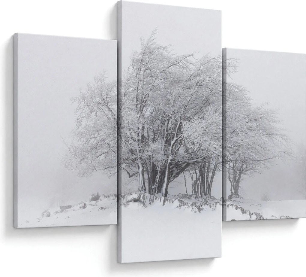 Kép - fehér tél (90x60 cm)