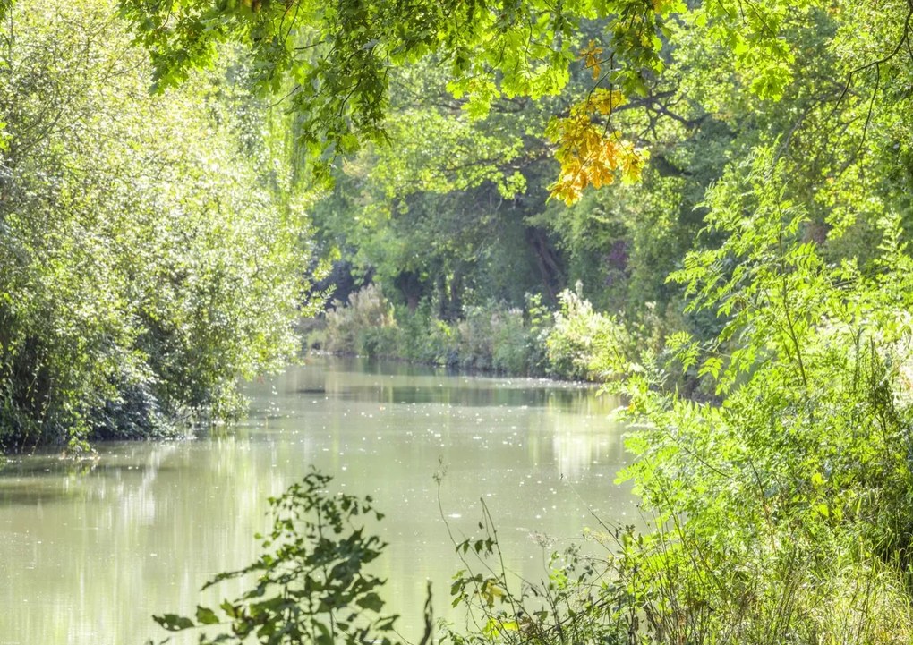 Poszter 84,1x59,4cm Basingstoke csatorna, Assaf Frank