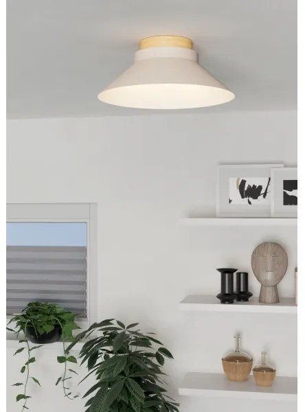 Eglo 900736 - Mennyezeti lámpa MOHARRAS 1xE27/40W/230V