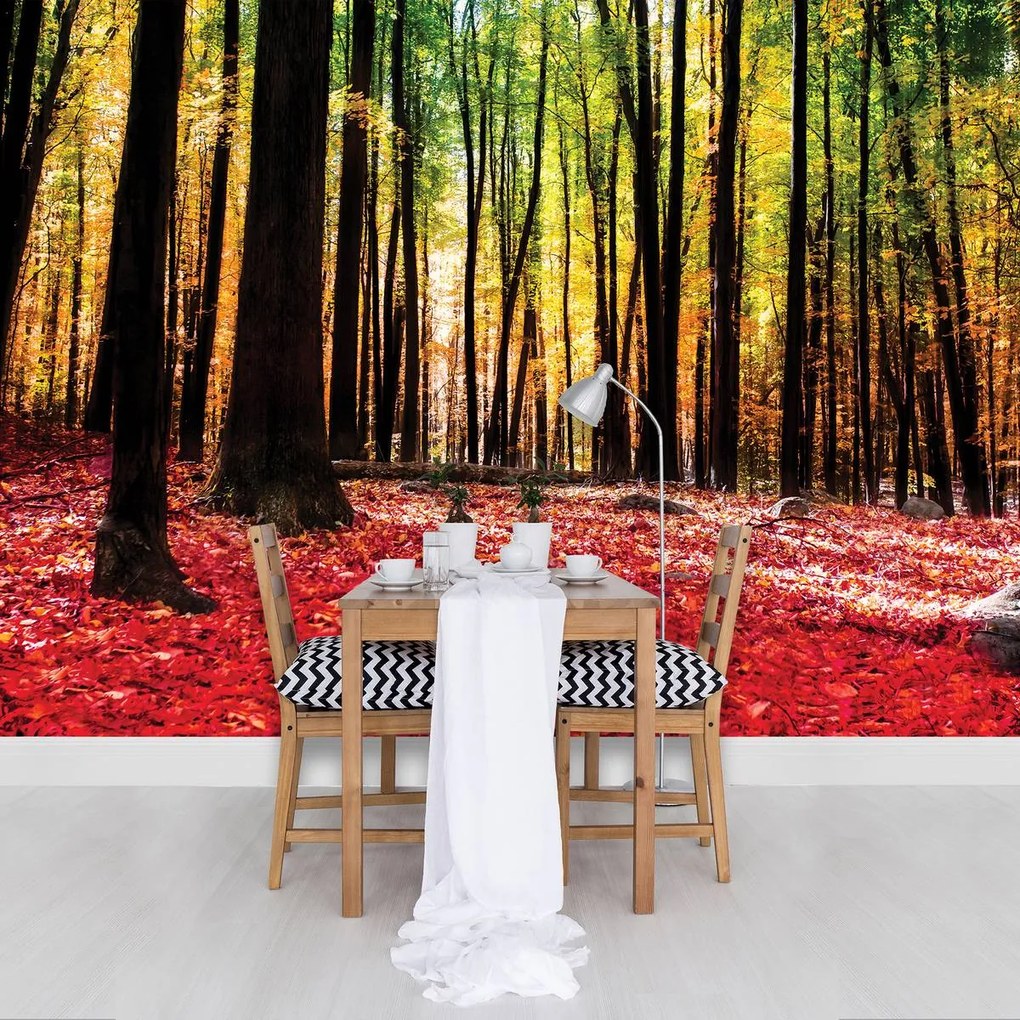Fotótapéta - (152,5x104 cm)