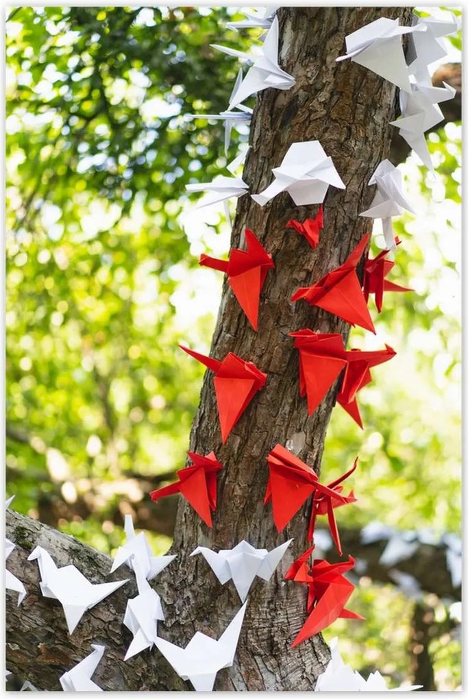 Poszterek 80x120 Papírfa madarak