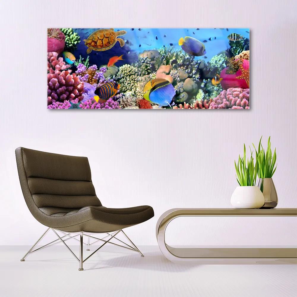 Modern üvegkép Barrier Reef Nature 100x50 cm