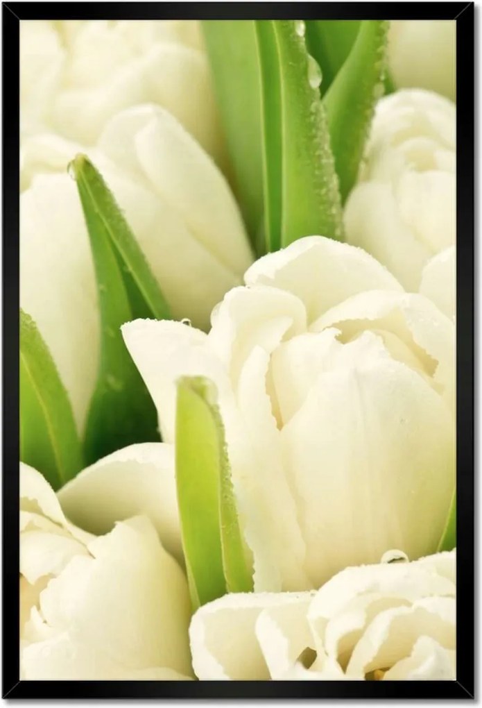 Poszterek keretben 40x60 Finom tulipánok