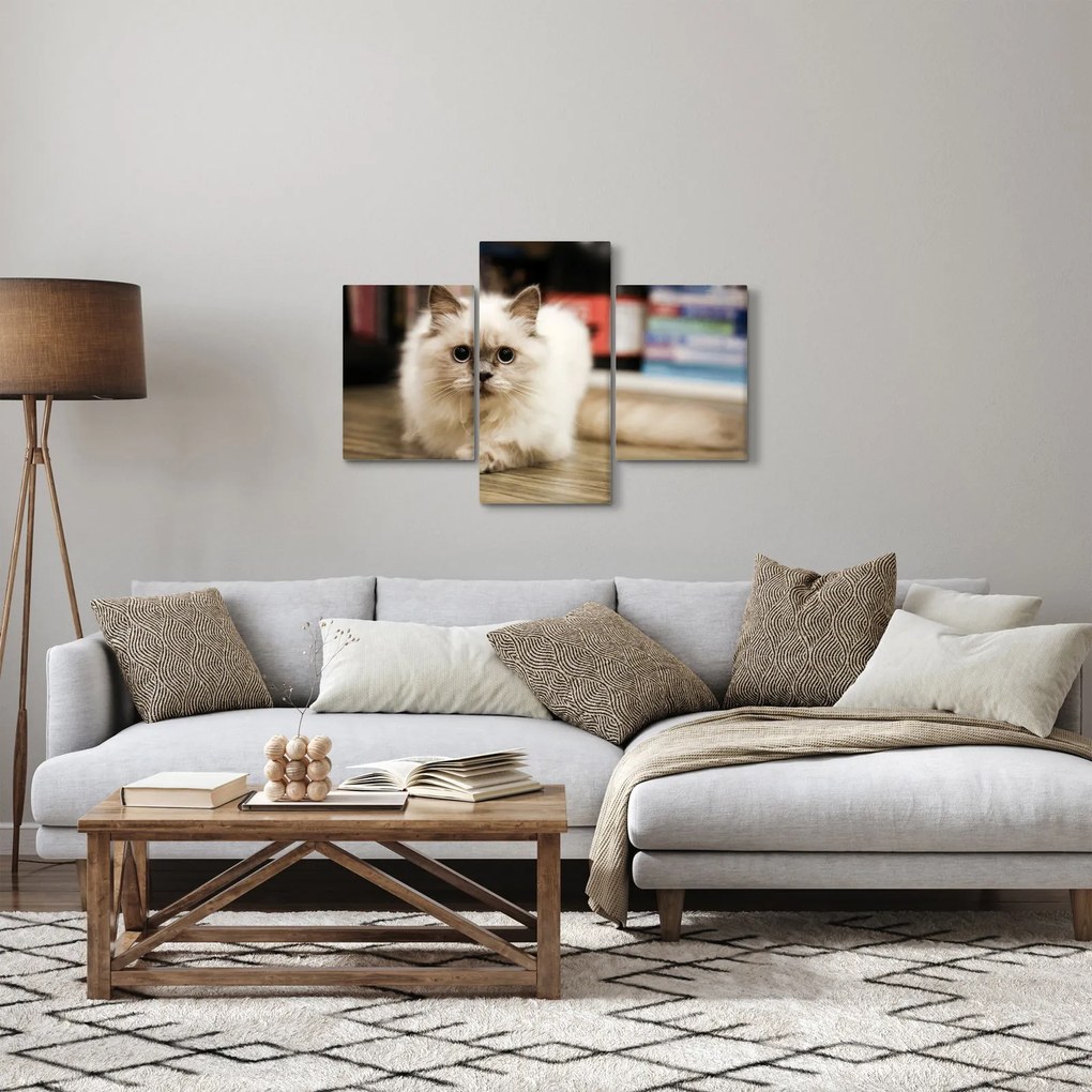 Fehér macska képe (90x60 cm)