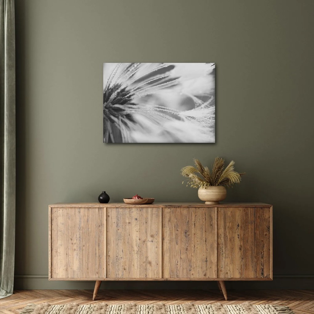 Kép - Pitypang (70x50 cm)