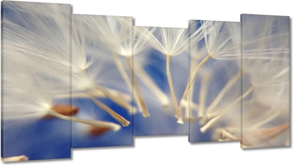 Vászonkép 150x80 Pitypang Virág Virágok