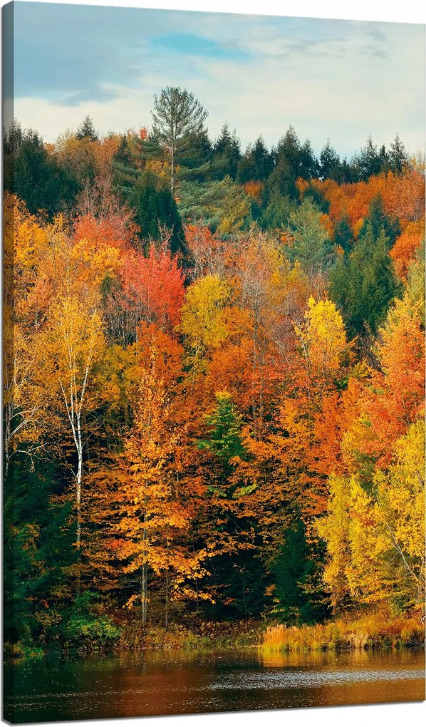 Vászonkép Színes Levelek Fák Ősz Természet 70x120 cm