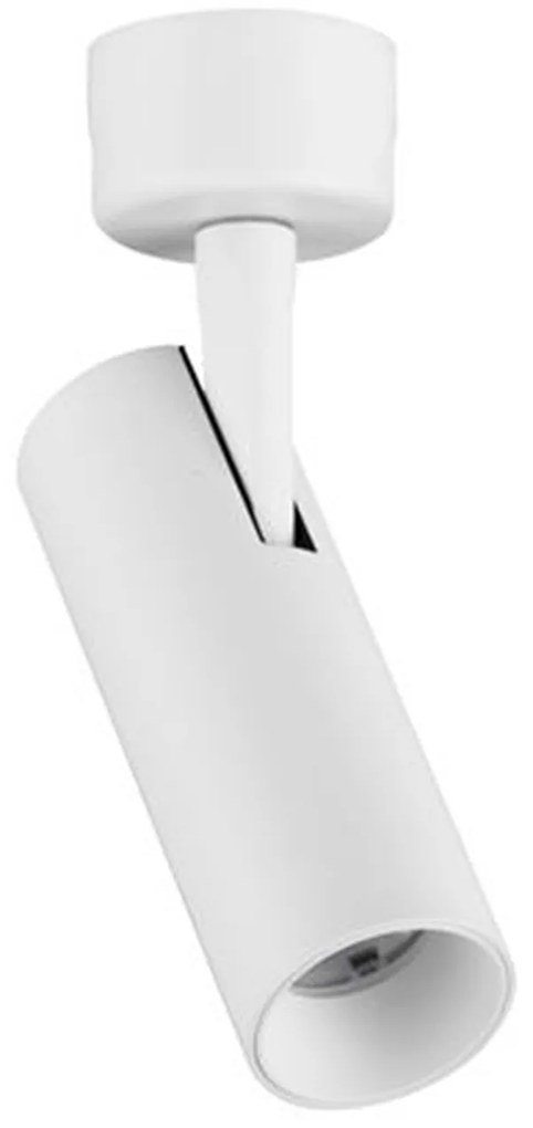 Colosio LED mennyezeti spotlámpa