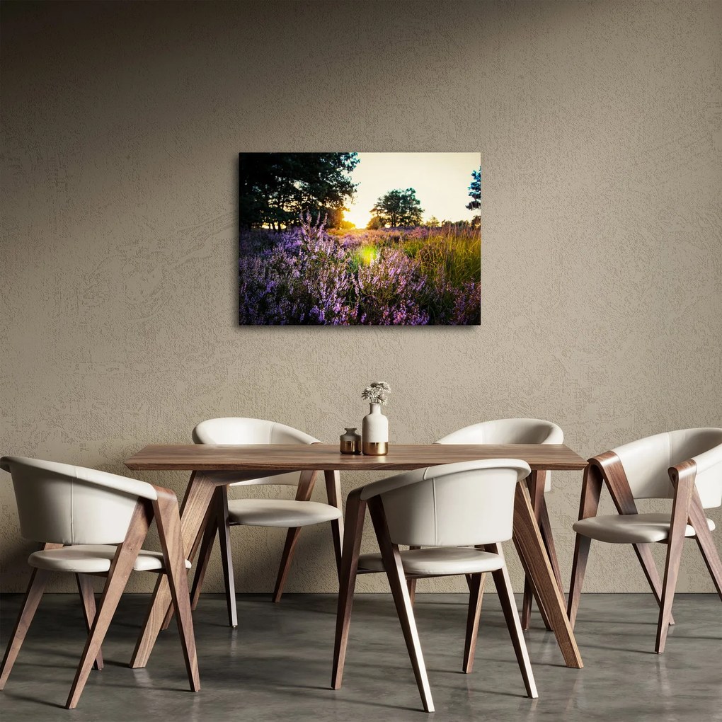 Egy levendulamező képe (70x50 cm)