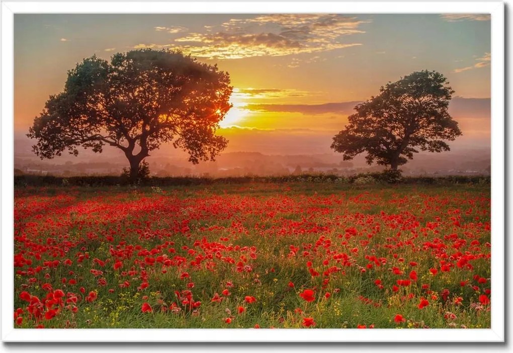 Poszterek keretben 60x40 Pipacsok a mezőn Tájkép
