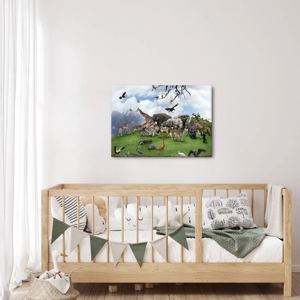 Kép - állatok a szigeten (70x50 cm)