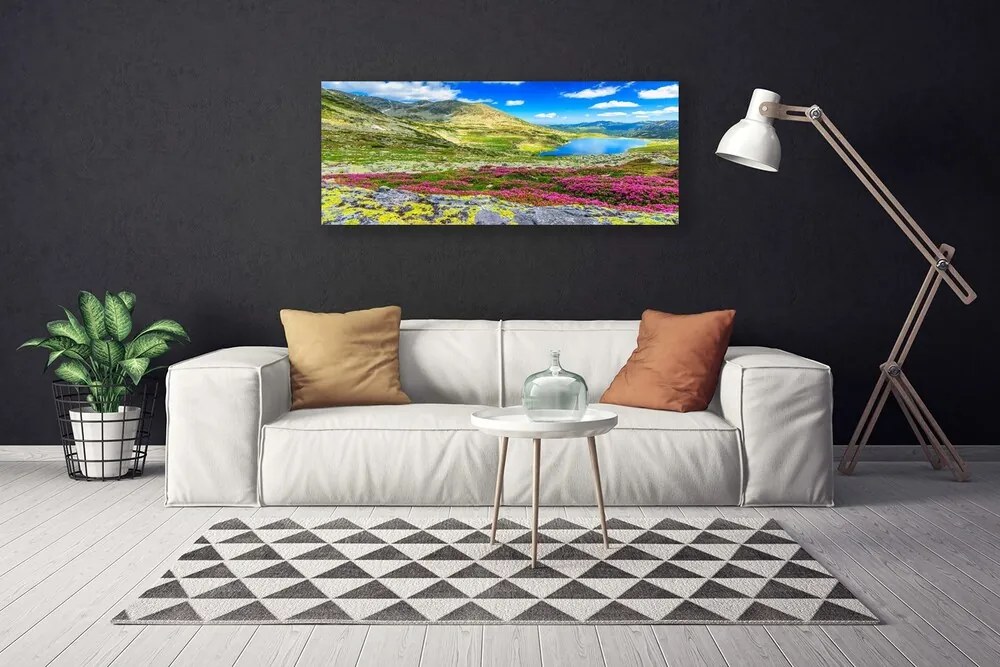 Vászonkép nyomtatás Top Bay Mező Természet 100x50 cm