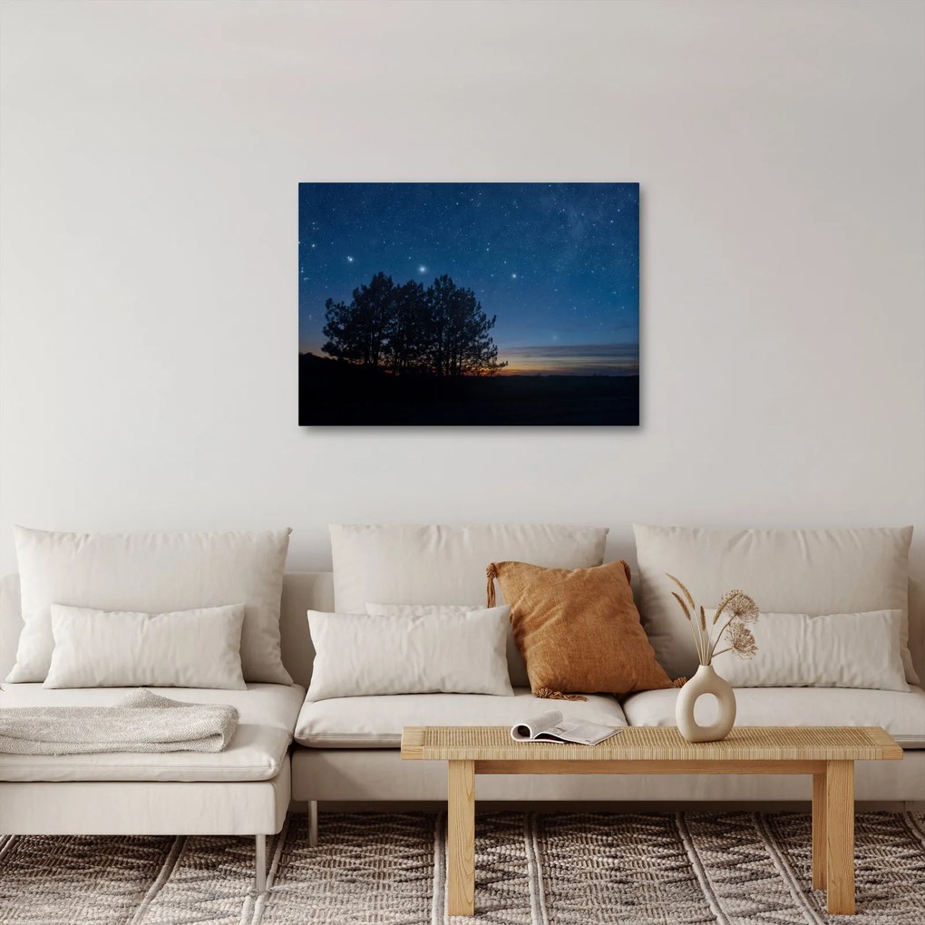 A fák éjjel képe (70x50 cm)