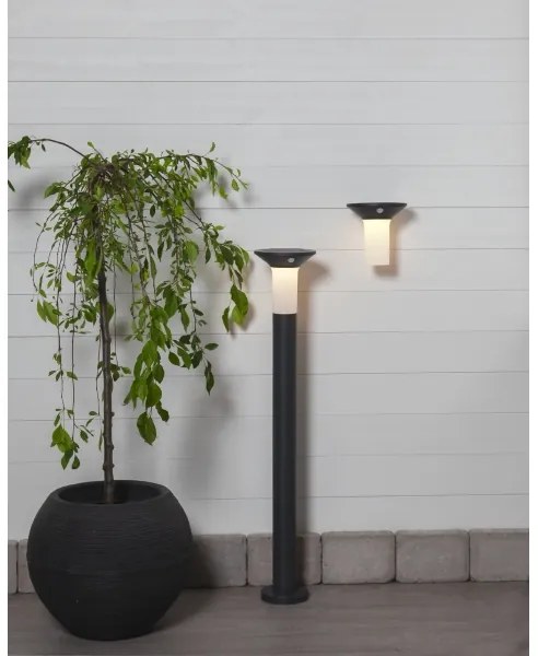 Eglo 900244 - LED kültéri napelemes lámpa érzékelővel 6xLED/0,03W/3,7V IP44