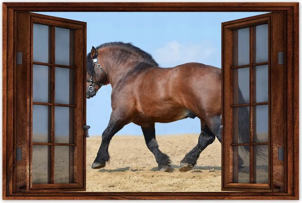 Poszterek 60x40 Erős ló