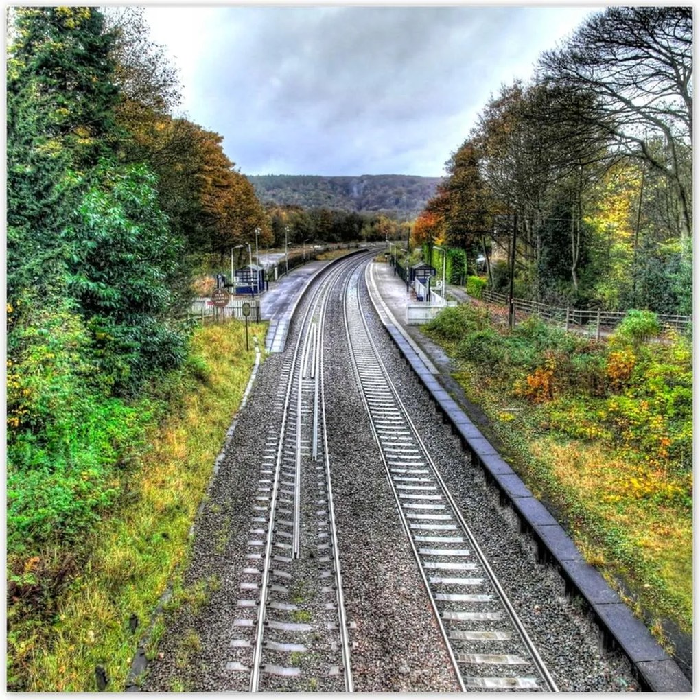 Poszterek 100x100 Pálya