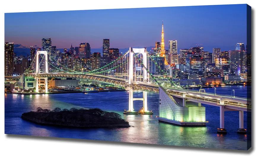 Vászonfotó Bridge tokióban pl-oc-120x60-f-83069808