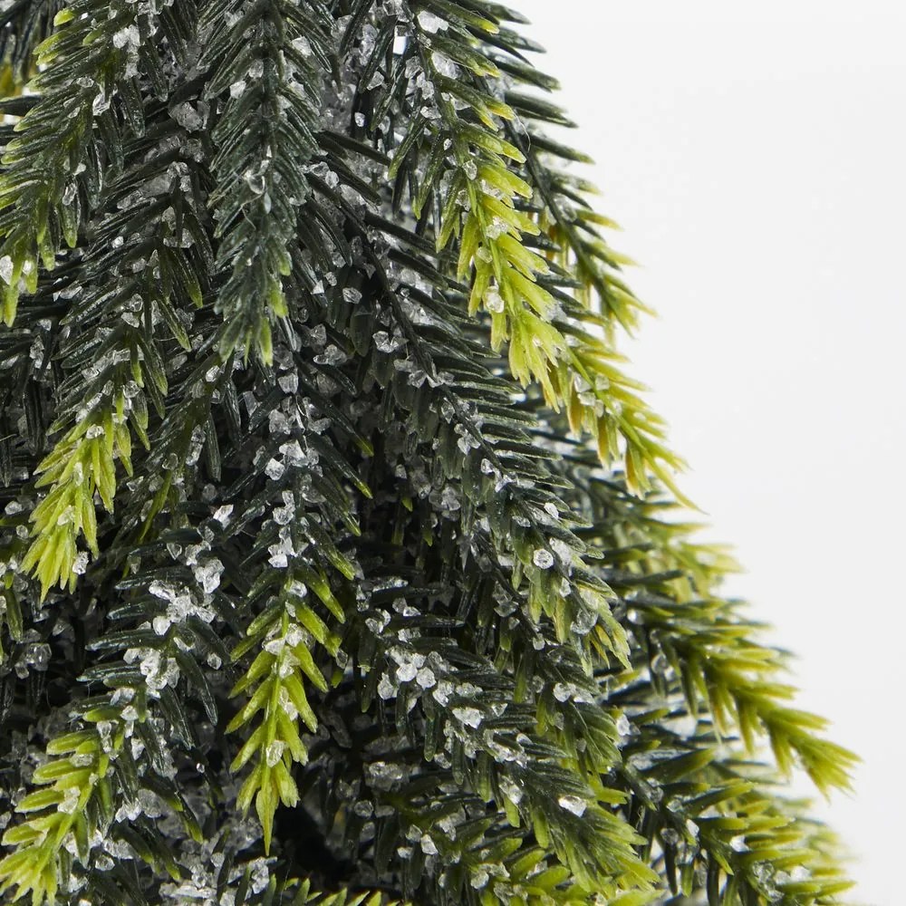 TREE OF THE MONTH fenyőfa talpon 19 cm
