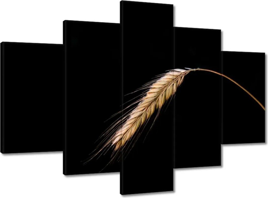 Vászonkép 150x105 Kalász rozs gabona arany