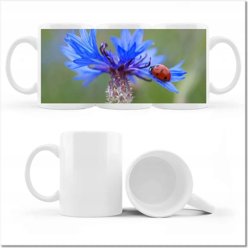 Haber mintás bögre katicabogárral