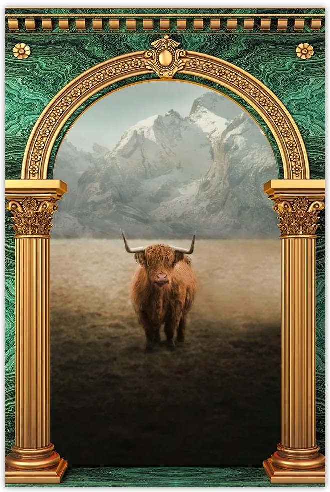 Poszterek 80x120 Skót tehén szarvasmarha