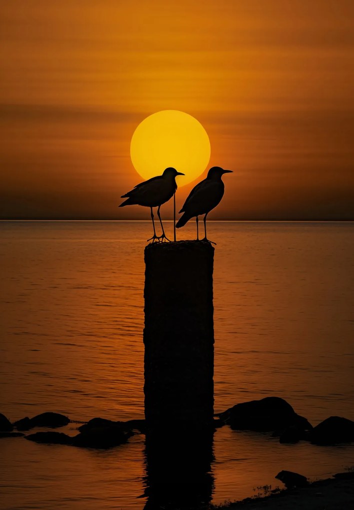 Poszter 68x98cm Beszélgetések alkonyatkor