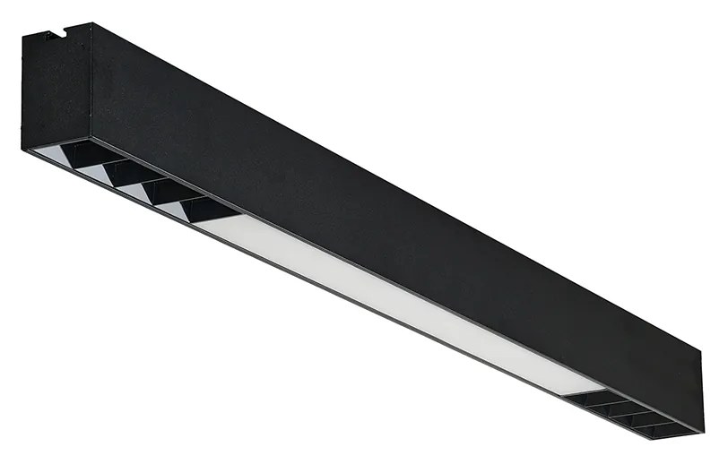 Linelio Mix LED