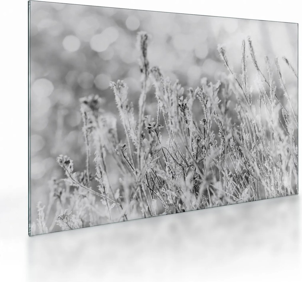 Üveg kép - Hideg tél (70x50 cm)