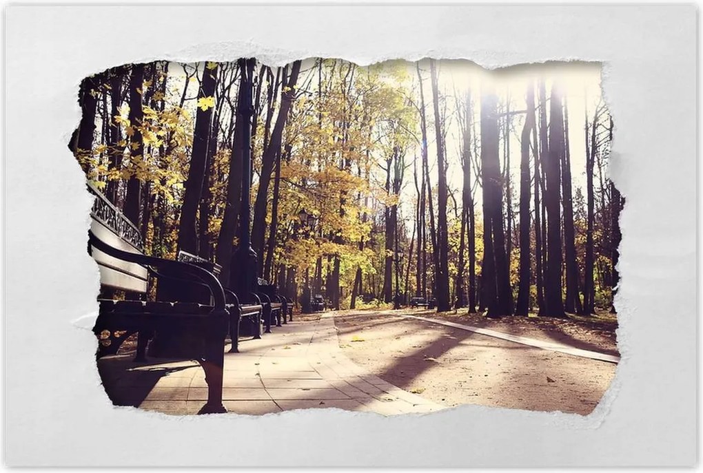 Poszterek 90x60 Városi park Tájkép