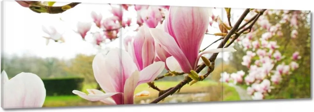 Vászonkép 150x50 Magnólia Budapest Virág