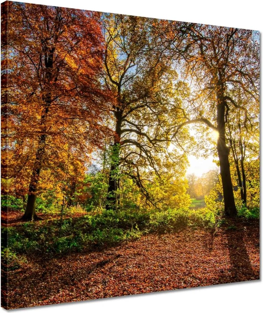 Vászonkép 40x40 Tájkép