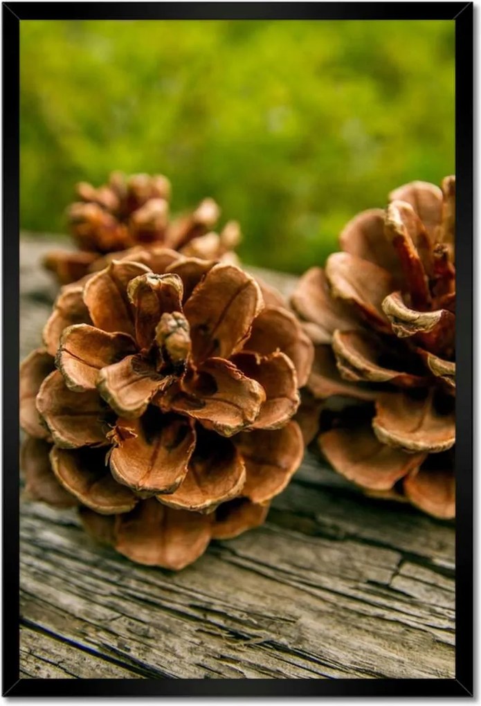 Poszterek keretben 40x60 Tobozok a kertben