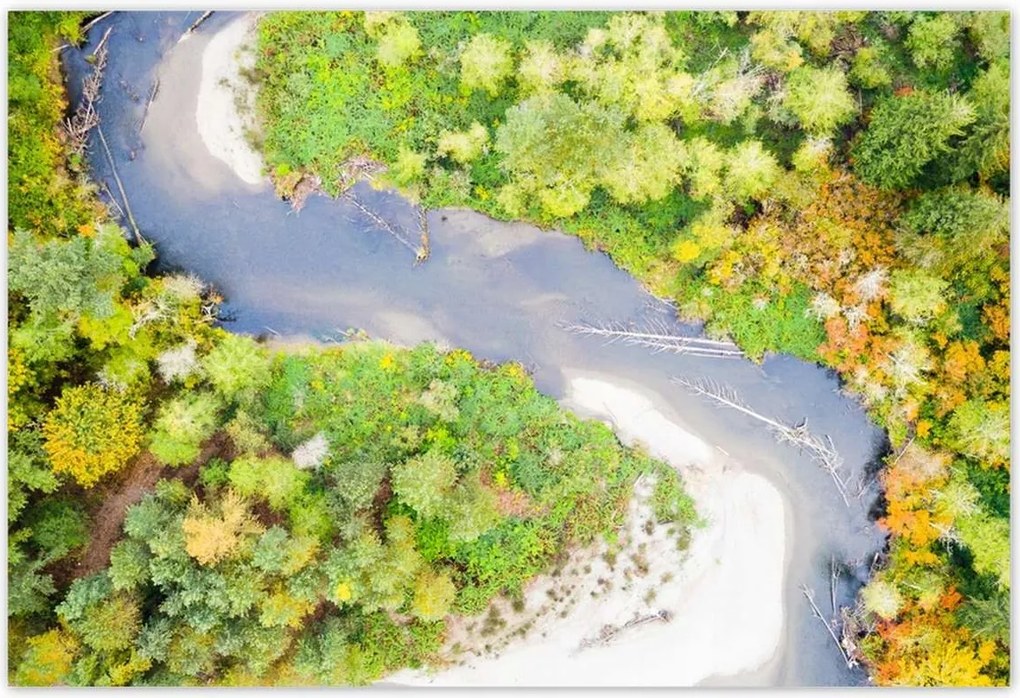 Poszterek 185x125 Forgó folyó Erdő Ősz