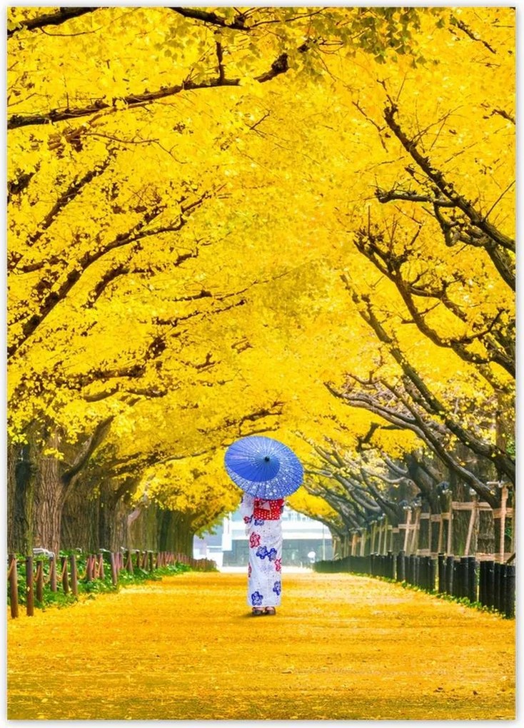 Poszterek 50x70 Japán kimonó Ősz