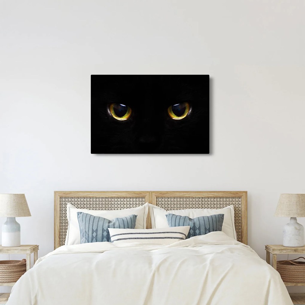 Kép - Macskaszemek (90x60 cm)