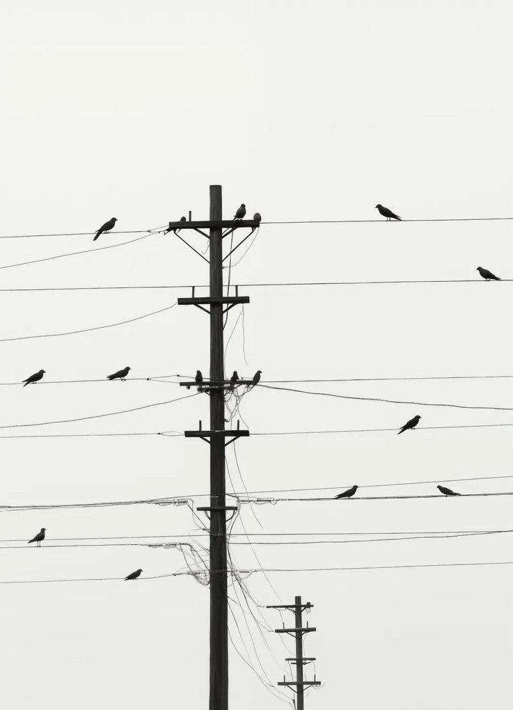 Poszter 13x18cm Szimfónia a dróton