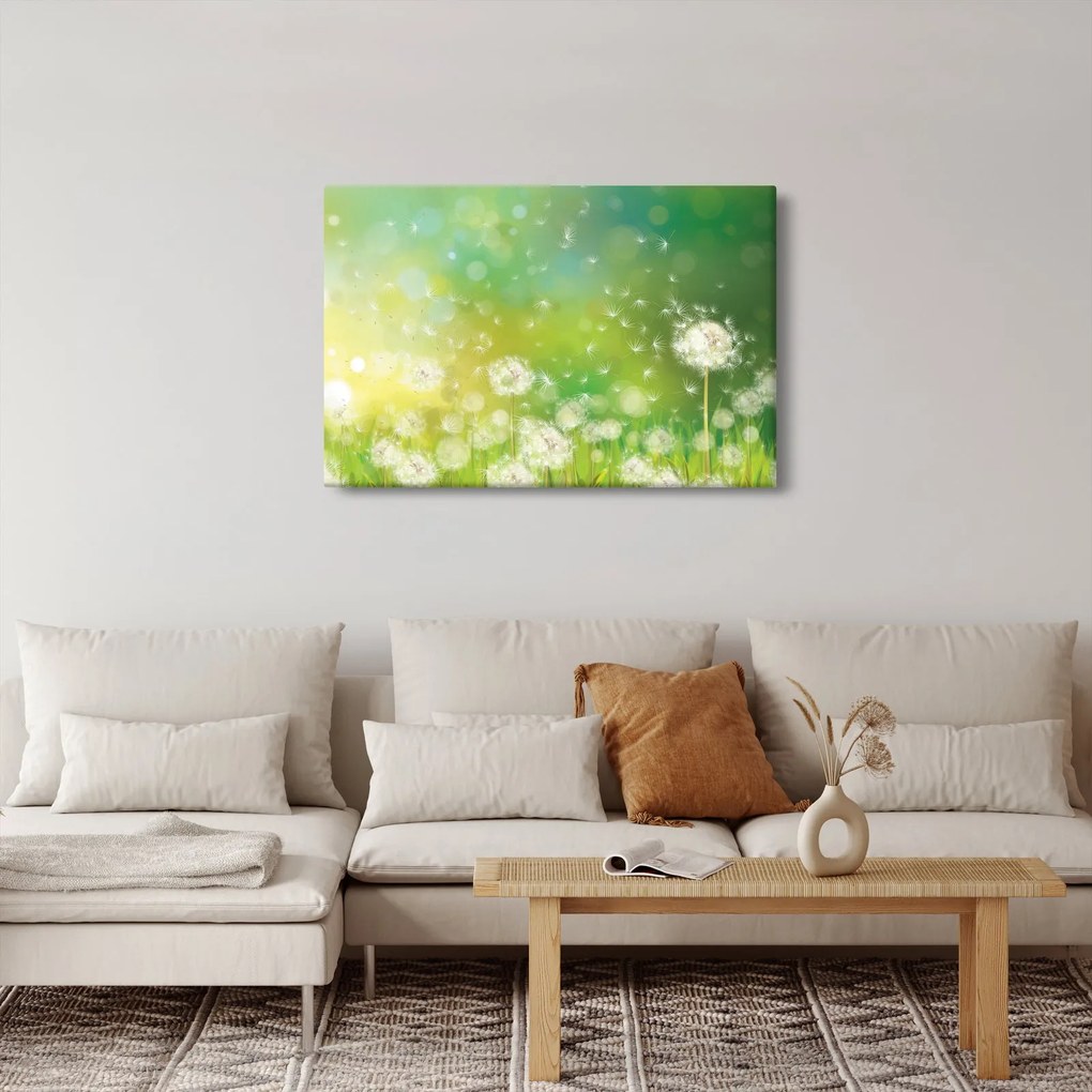 Kép - Virágozatlan pitypang (90x60 cm)