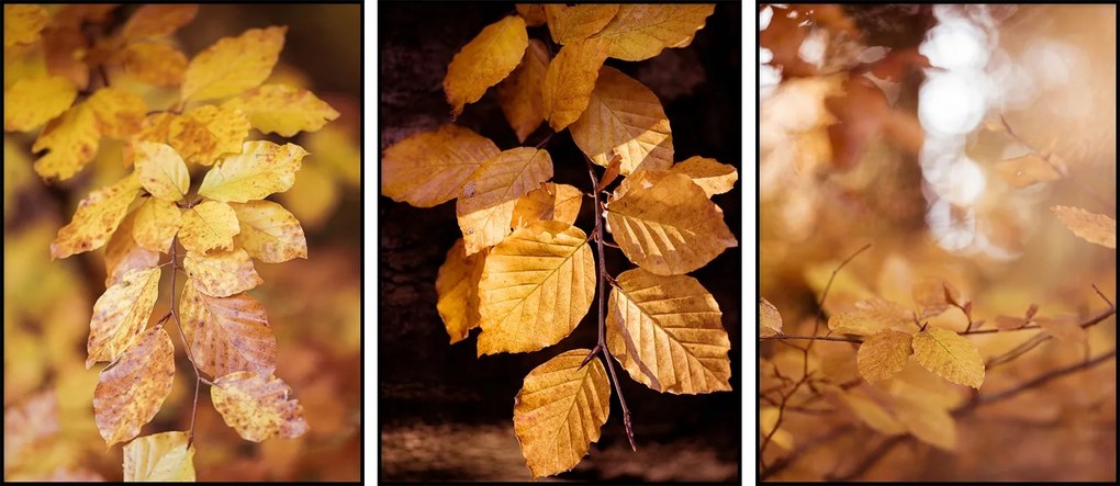 Triptichon szett 3db-os Arany Őszi levelek 60x90