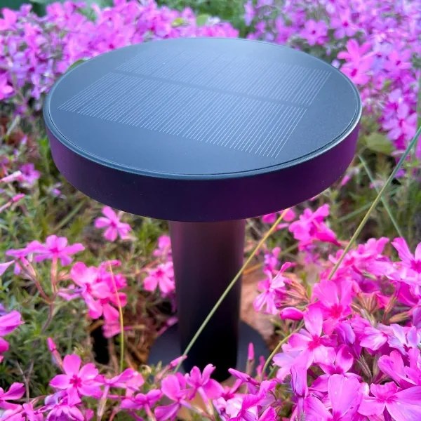 Zuma Line DT33611 - CARLI LED napelemes lámpa 2W, 2000 mAh, IP44 fekete