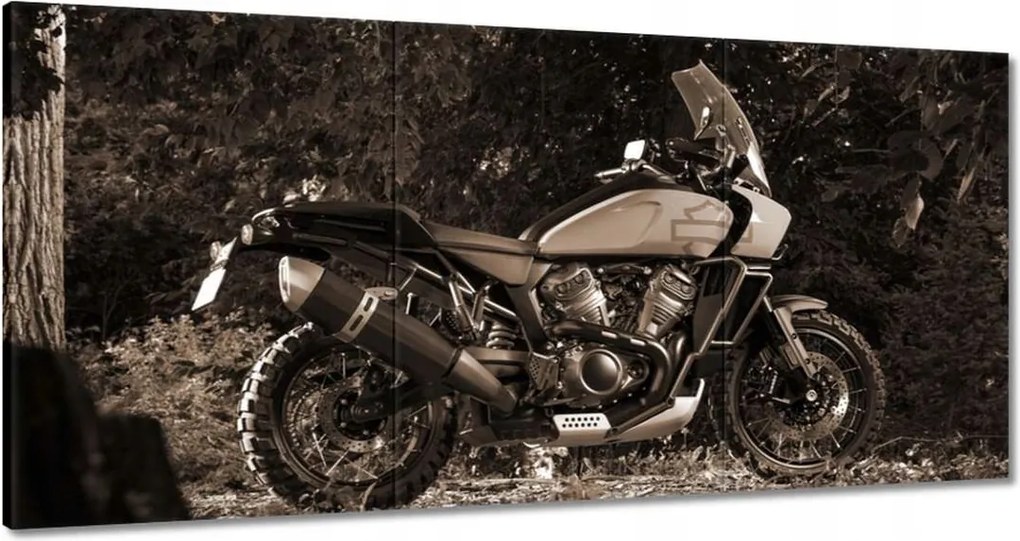 Képek 180x90 Harley Davidson Motorkerékpár