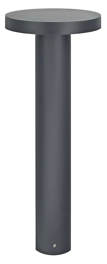 Borg