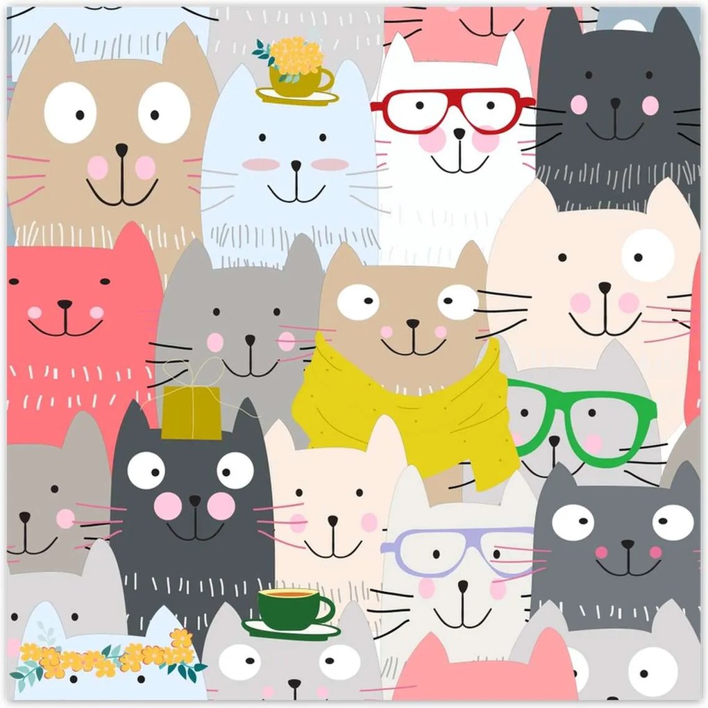 Poszterek 70x70 Cica Cicák