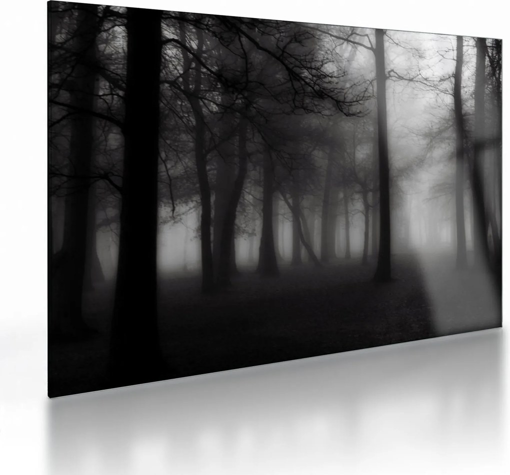 Kép - erdő a ködben (üvegen) (70x50 cm)