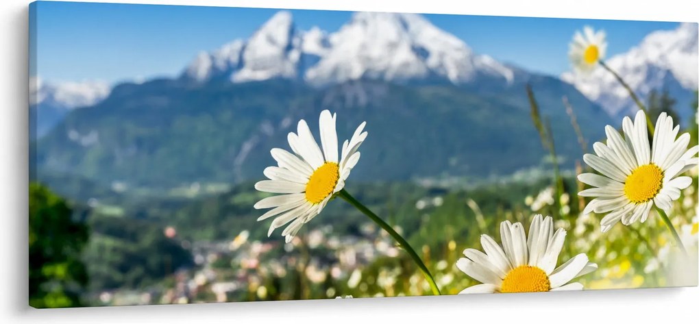 Kép - tavasz az Alpokban (120x50 cm)