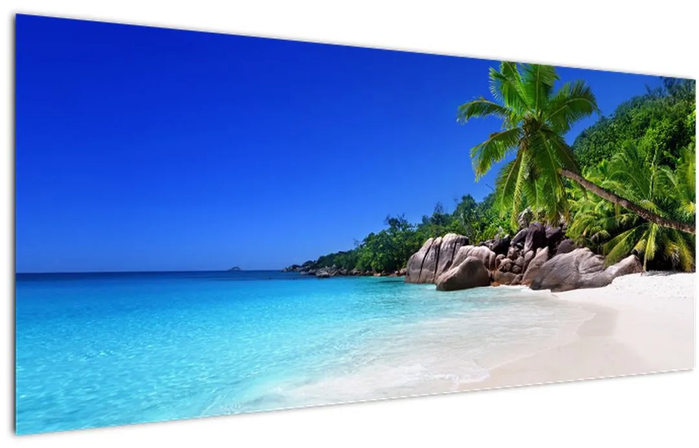 Kép a strandról a Praslin szigeten (120x50 cm)