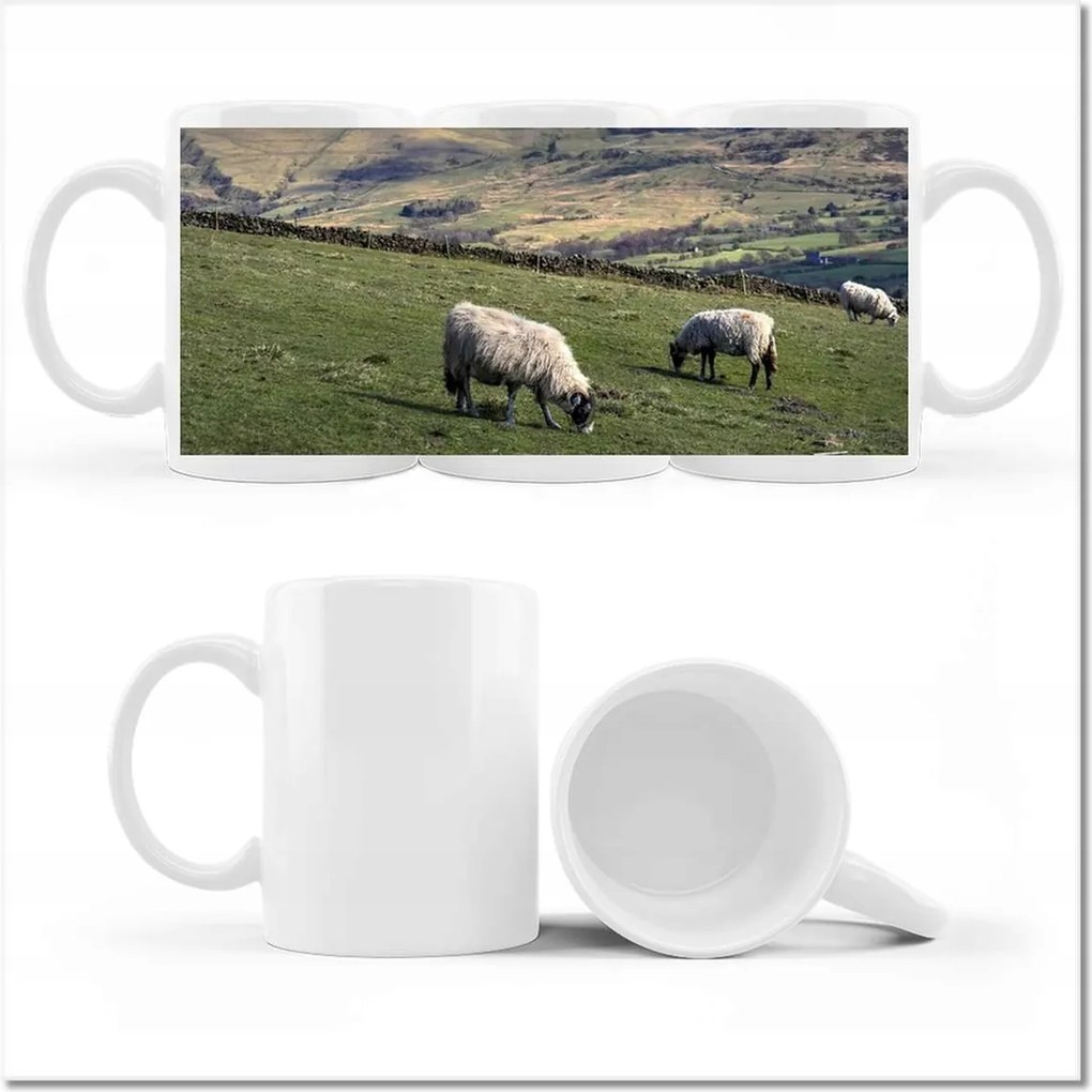 Bárányok a csarnokban feliratú bögre